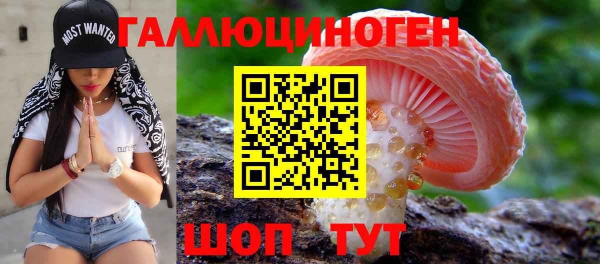 Белогорск  Псилоцибиновые грибы Magic Shrooms  Вход с VPN  Псилоцибиновые грибы мухоморы 